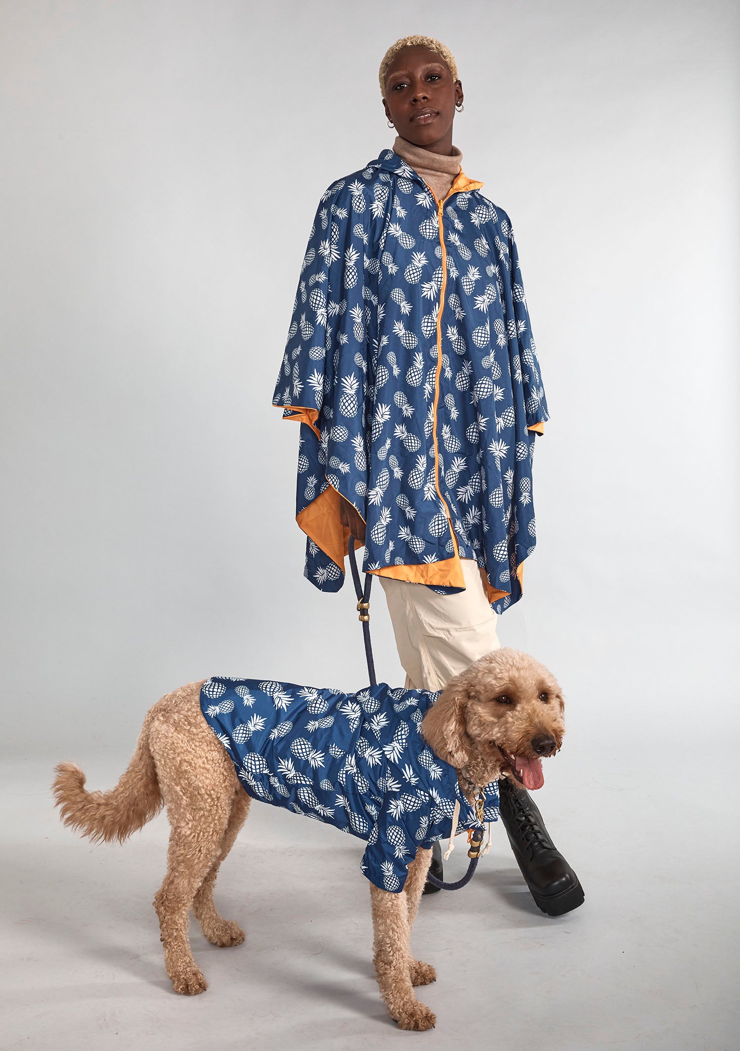Dog raincoat Blue Pineapple                                          .