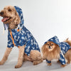 Dogs