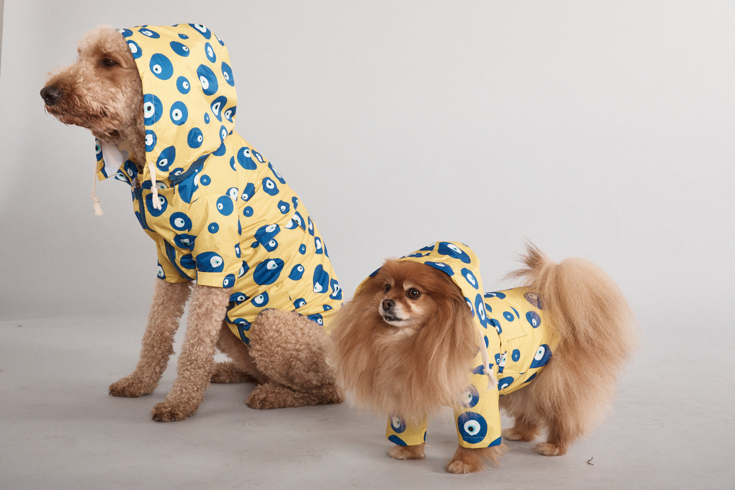 Dogs Rain Coat The Eye                                               .