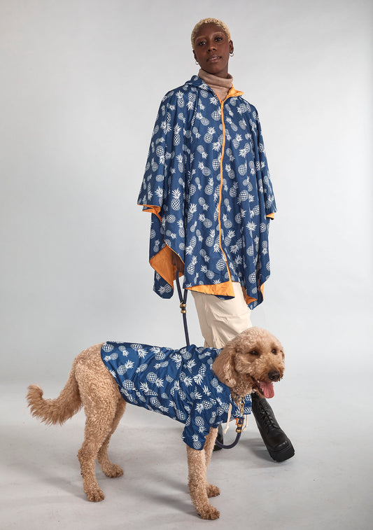Dog raincoat Blue Pineapple                                          .
