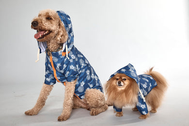 Dog raincoat Blue Pineapple                                          .