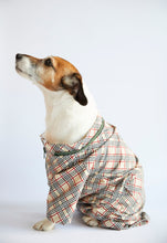 Load image into Gallery viewer, Dog Rain Coat Barbara
